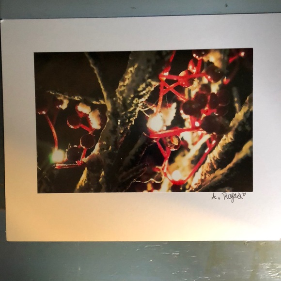 Photo - Picture 2 of 3